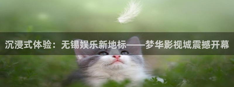 领航国际美业：沉浸式体验：无锡娱乐新地标——梦华影视城震撼开幕