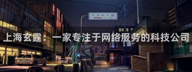 领航国际主管：上海玄霆：一家专注于网络服务的科技公司